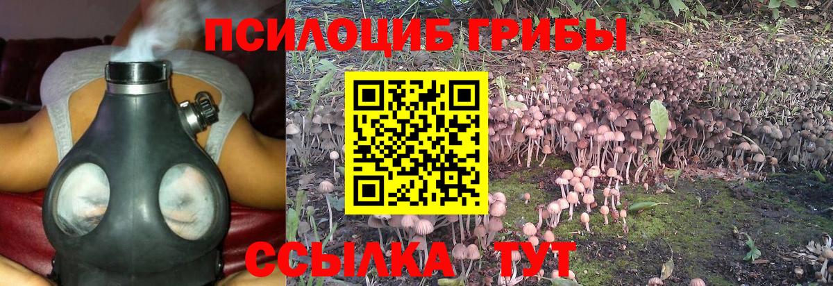 Галлюциногенные грибы Magic Shrooms  Вход с VPN  Гурьевск  Псилоцибиновые грибы MAGIC MUSHROOMS 