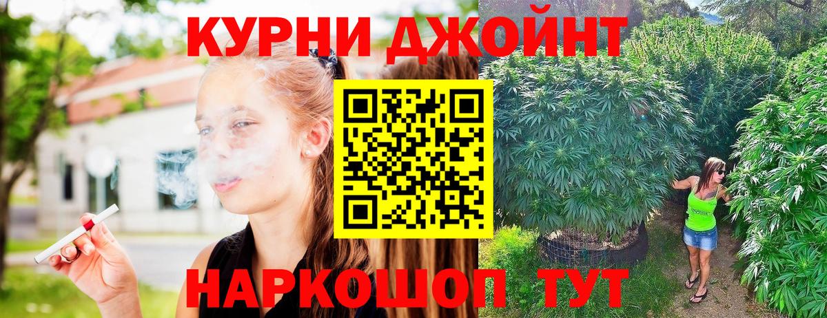 Бошки марихуана OG Kush Гурьевск